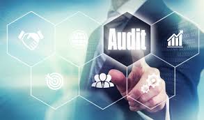 Audit Para Management System